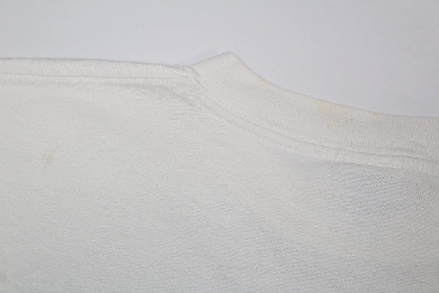 SALEM SPORTSWEAR 90'S VINTAGE CHARLES BARKLEY PHOENIX SUNS COMICS T-SHIRT LARGE