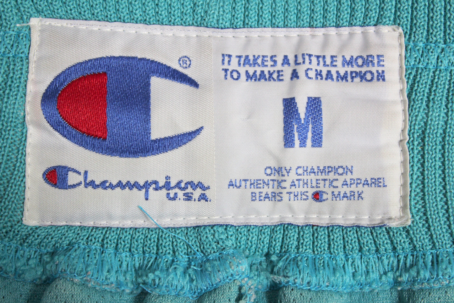 VINTAGE CHARLOTTE HORNETS CHAMPION 1992 NBA SHORTS MEDIUM